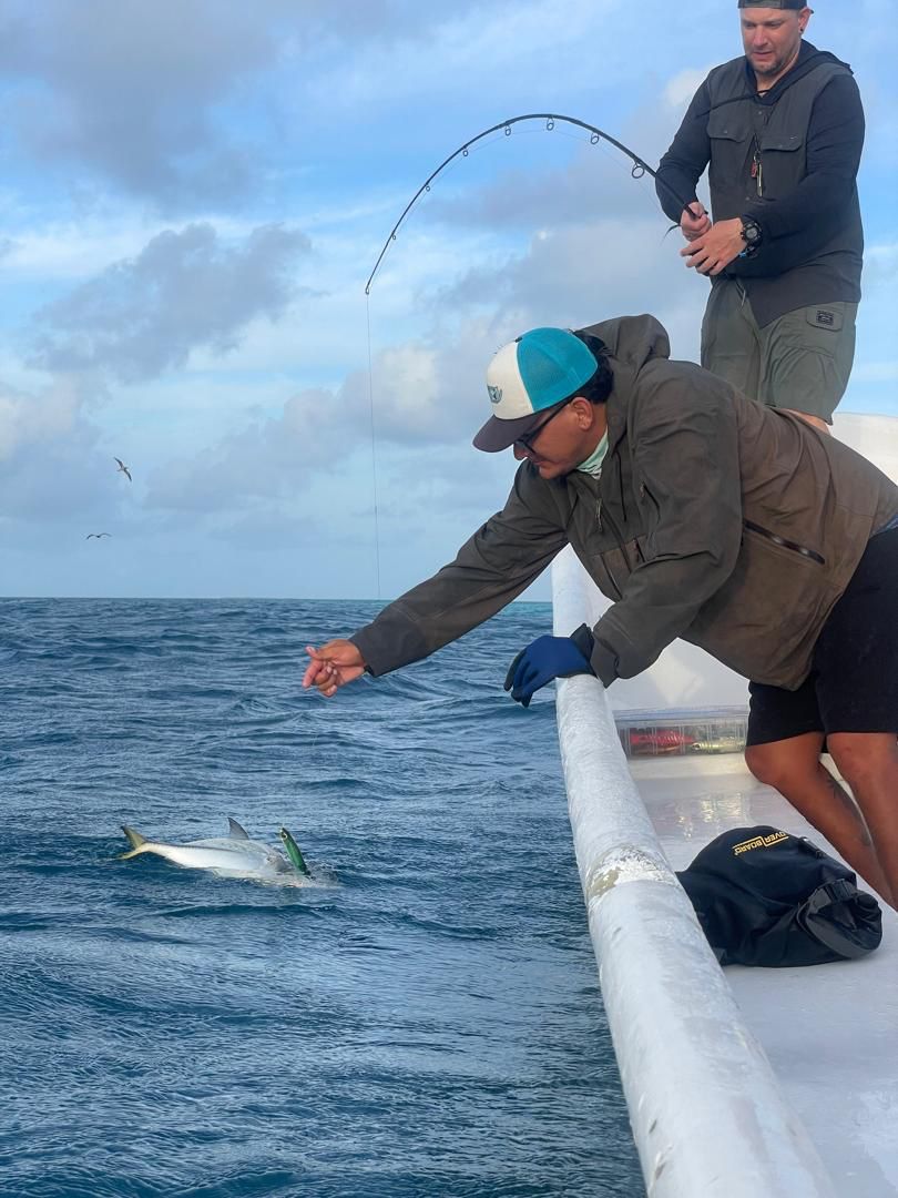 PHOTO-2025-02-12-16-54-21 2