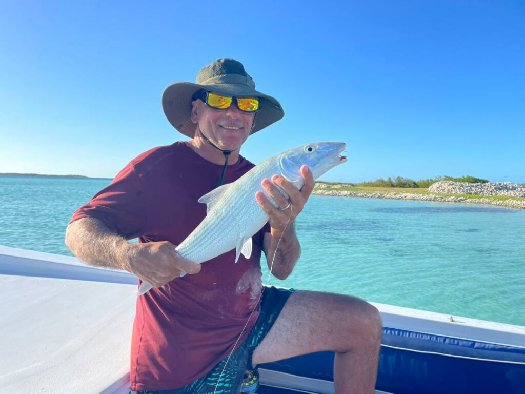 a24cb60a-c8fc-470b-b3cb-f8531d74043a