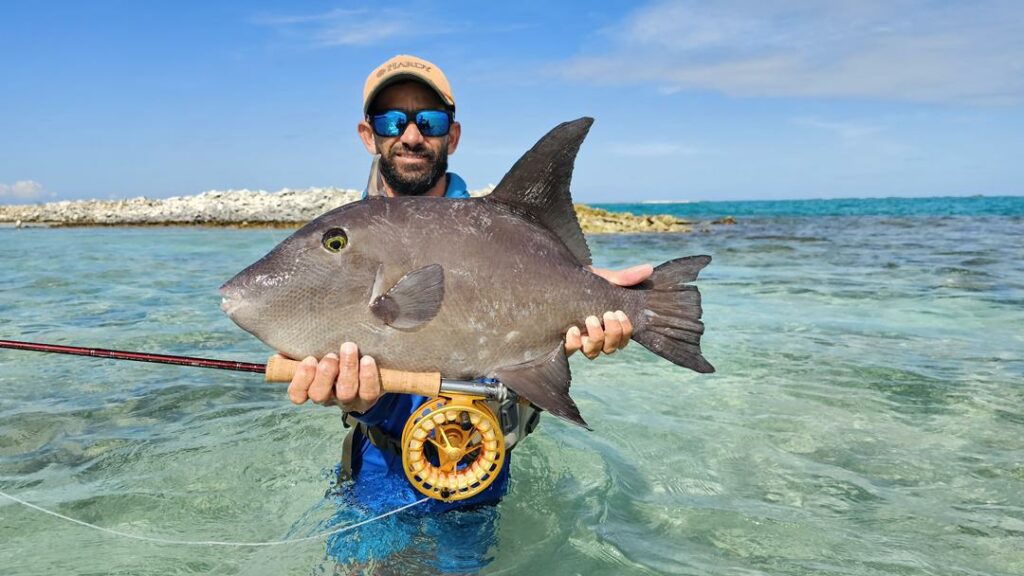 a99b4de9-2350-4b5b-afae-2cfd24cf797b