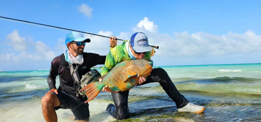 f0a7366f-db7b-4239-9669-15b9a39d40bb